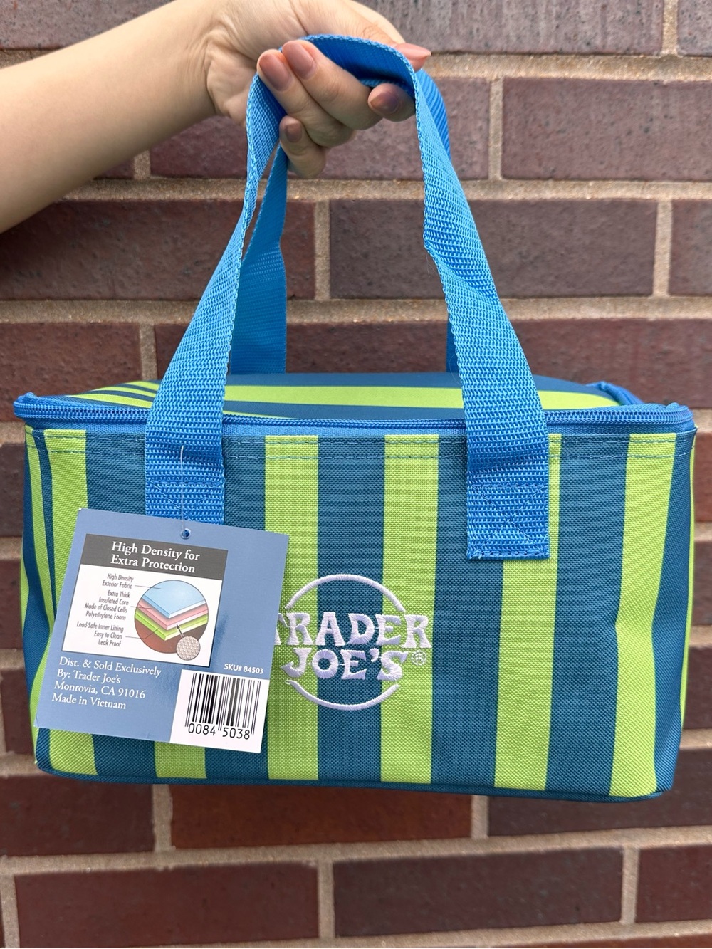 trader joe’s mini insulated tote lunch bag
2026 summer collection
